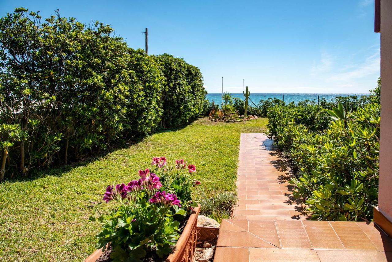 Villa Chalet Geraneos 3 à Torrevieja Extérieur photo